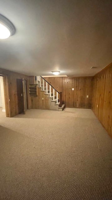 Basement Before